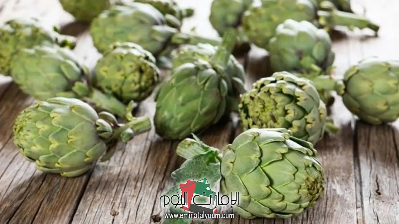 الفوائد الصحية للخرشوف