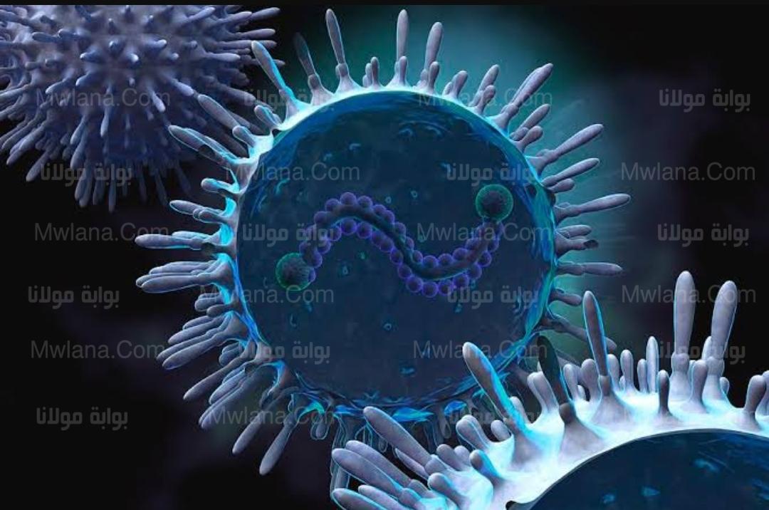 فيروس rsv المخلوي التنفسي يضرب الأطفال تحت 6 شهور 3 فيروس rsv