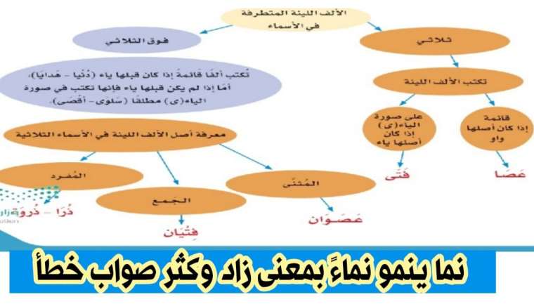 نما ينمو نماءً بمعنى زاد وكثر صواب خطأ