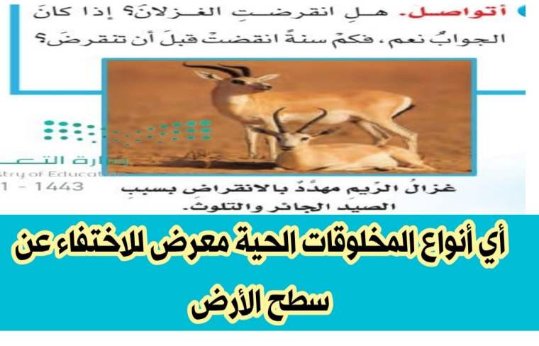 أي أنواع المخلوقات الحية معرض للاختفاء عن سطح الأرض 2 أي أنواع المخلوقات الحية معرض للاختفاء عن سطح الأرض