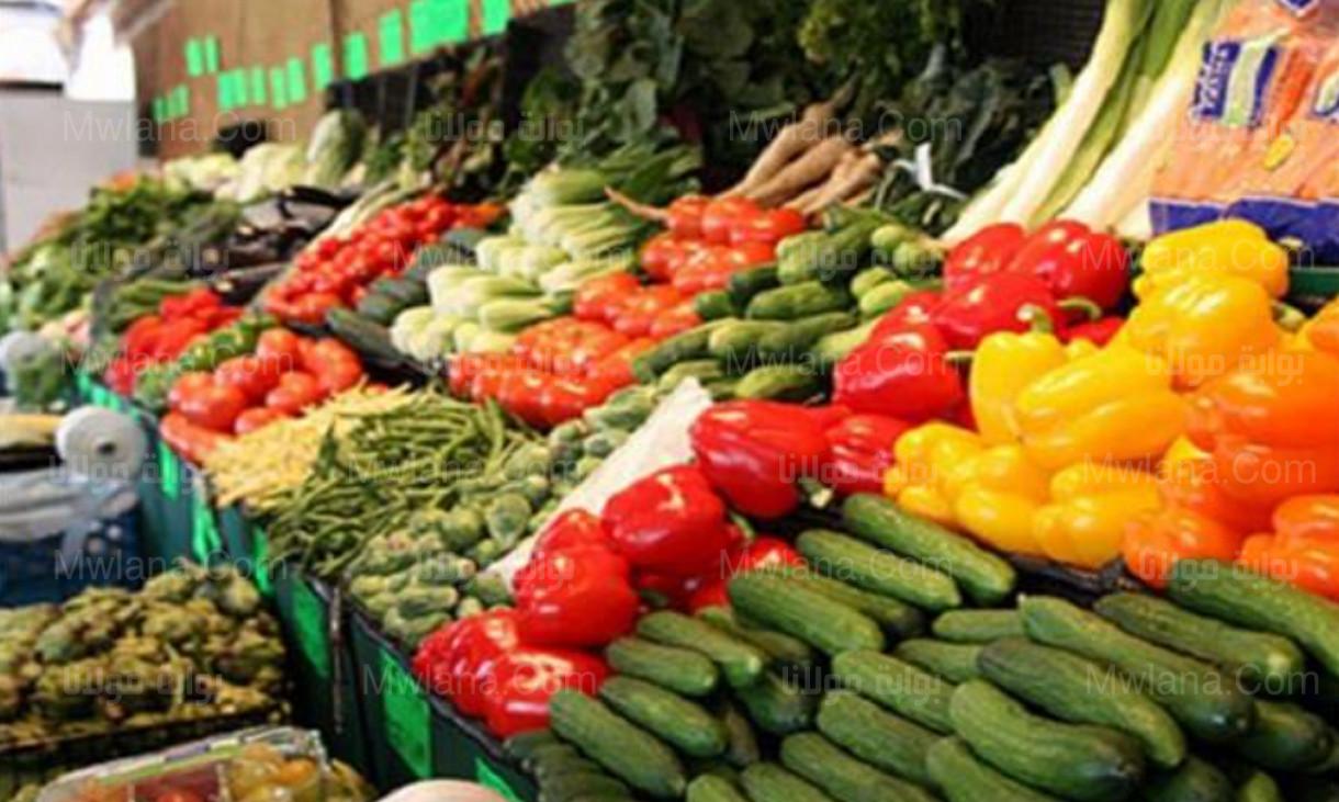 ارتفاع الخضروات.. اسعار الخضار اليوم الأربعاء 23 نوفمبر 2022 في مصر 2 سعر الخضار اليوم