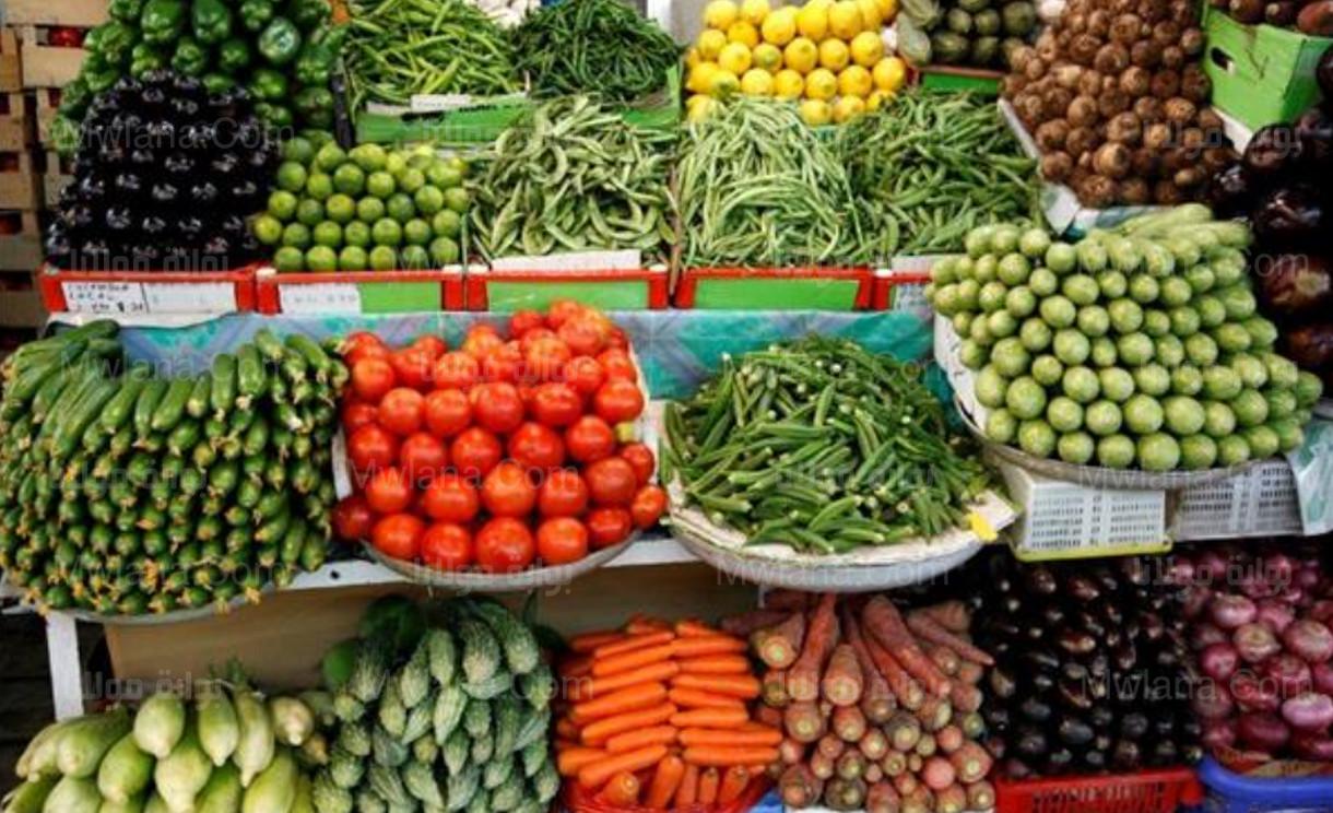 ارتفاع الخضروات.. اسعار الخضار اليوم الأربعاء 23 نوفمبر 2022 في مصر 1 اسعار الخضار اليوم