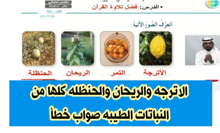 الاترجه والريحان والحنظله كلها من النباتات الطيبه صواب خطأ 2 الاترجه والريحان والحنظله كلها من النباتات الطيبه صواب خطأ