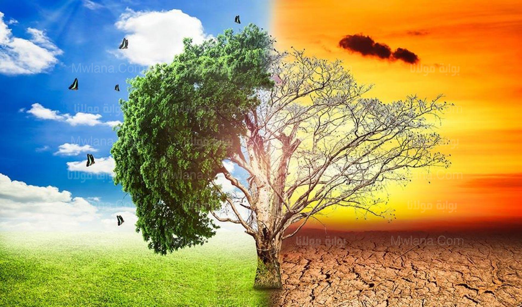 التغير المناخي ينذر بكوارث طبيعية !!!! اسبابه وخطوات الحد من الآثار السلبية بحلول عام 2050 2 التغير المناخي