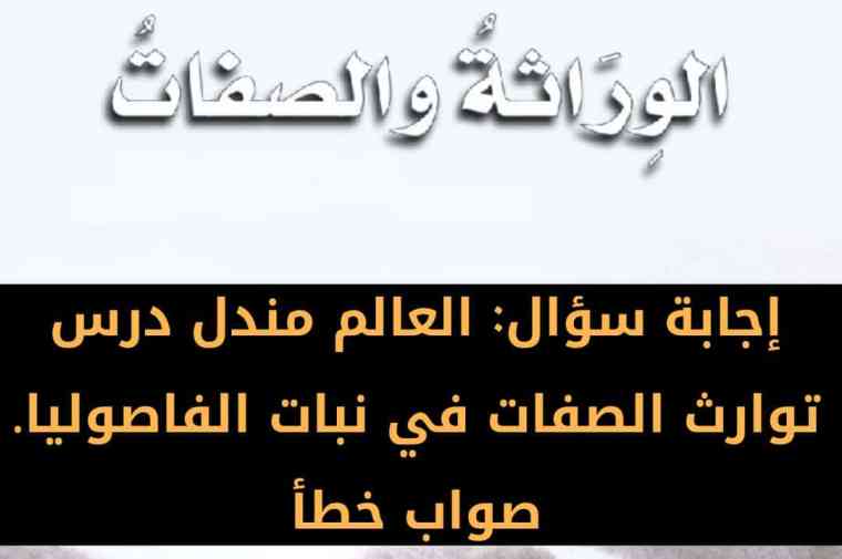 العالم مندل درس توارث الصفات في نبات الفاصوليا. صواب خطأ 2 العالم مندل درس توارث الصفات في نبات الفاصوليا. صواب خطأ