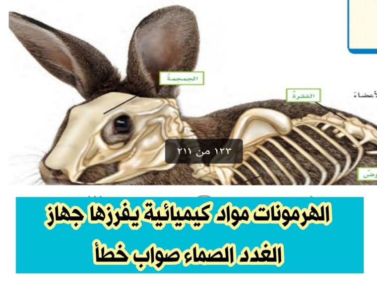 الهرمونات مواد كيميائية يفرزها جهاز الغدد الصماء صواب خطأ 2 الهرمونات مواد كيميائية يفرزها جهاز الغدد الصماء صواب خطأ