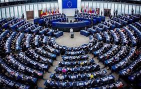 بيان البرلمان الاوروبي تصريحات عن حقوق الإنسان في مصر