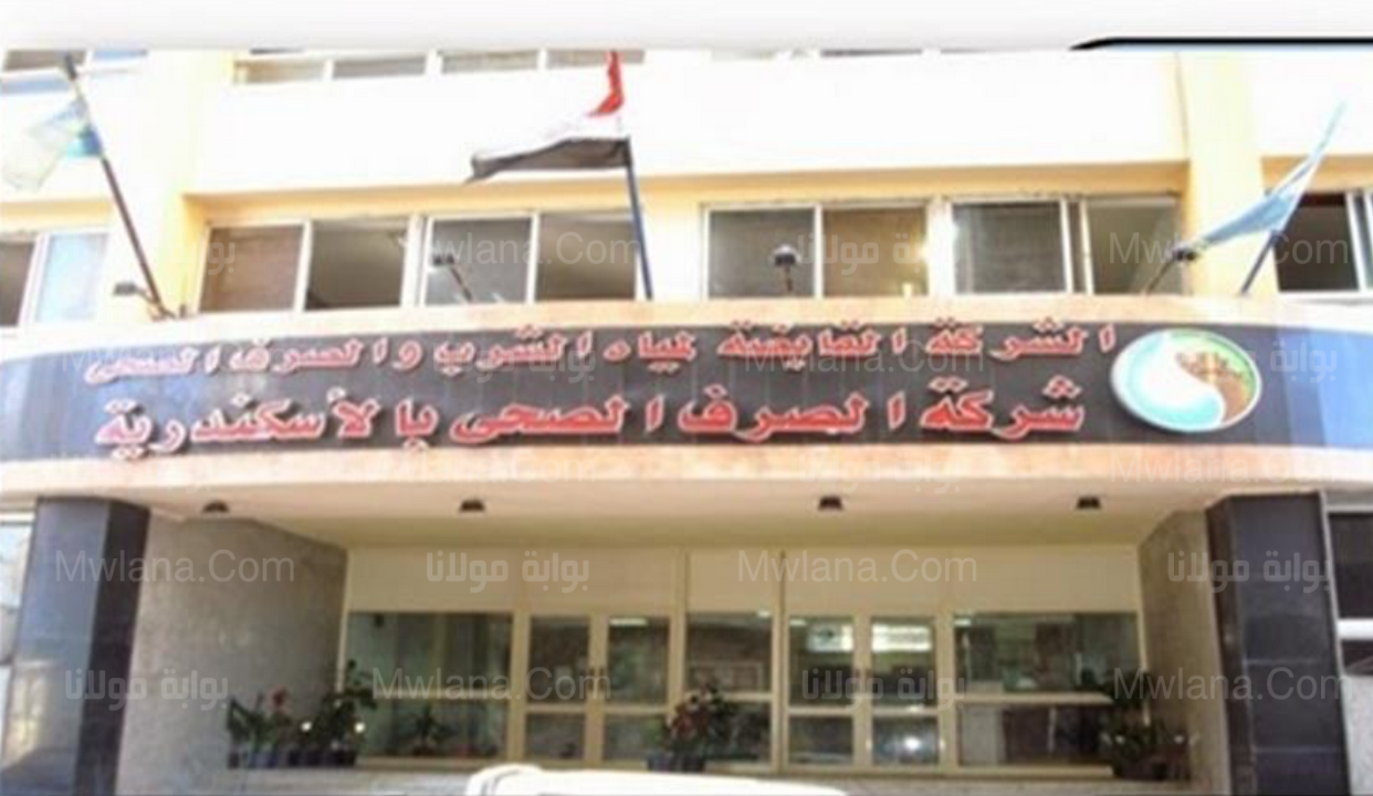 وظائف حكومية.. شروط تعيينات شركة الصرف الصحي في الإسكندرية 1 تعيينات شركة الصرف الصحي