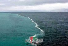 رؤية برزخ البحر في المنام