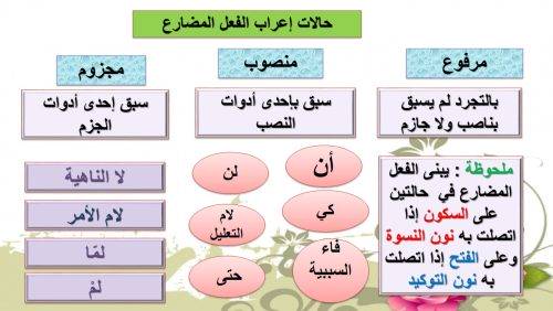 جاء الفعل المضارع منصوباً في جملة