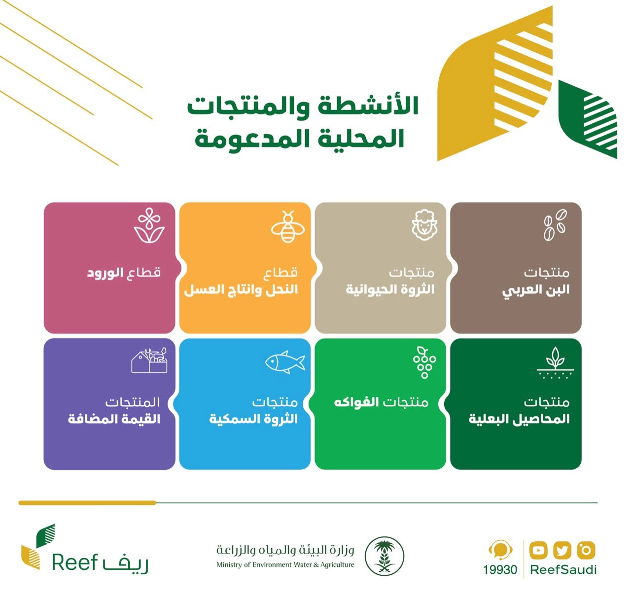 رابط الاستعلام عن دعم ريف 1444 برقم الهوية reef.gov.sa وما هي شروط التسجيل في الدعم 3 المجالات التي يدعمها برنامج دعم ريف