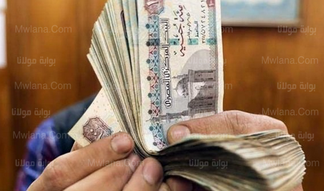 زيادة المرتبات .. مواعيد صرف المرتبات الجديدة بعد تطبيق الحد الأدنى الجديد 2 زيادة المرتبات المعلمين