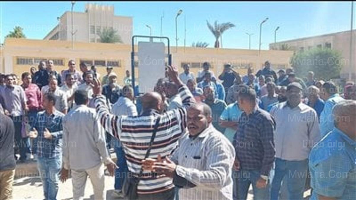 عمال مصنع كيما بأسوان يطالبون بحقهم في الأرباح وإستقال العضو المنتدب 5 مصنع كيما