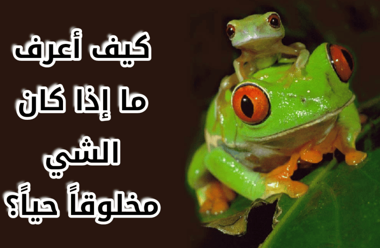 كيف أعرف ما إذا كان الشي مخلوقاً حياً؟