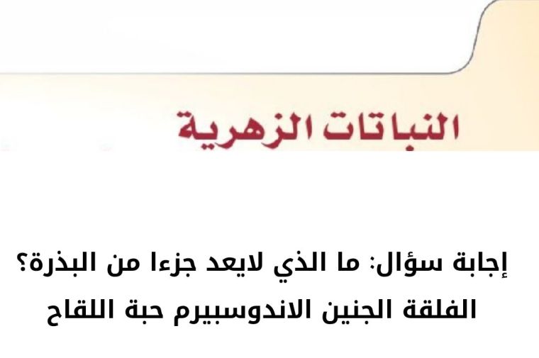 ما الذي لايعد جزءا من البذرة 2 ما الذي لايعد جزءا من البذرة؟