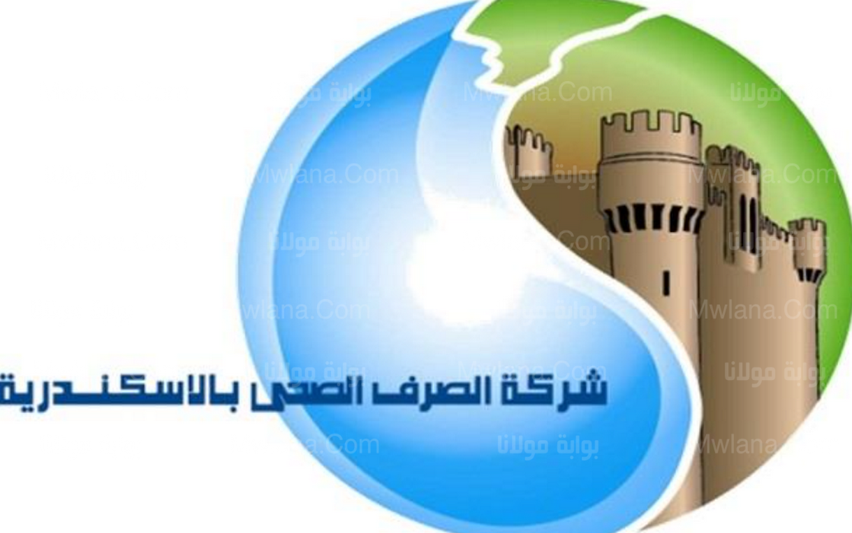 وظائف حكومية.. شروط تعيينات شركة الصرف الصحي في الإسكندرية 2 وظائف شركة الصرف الصحي