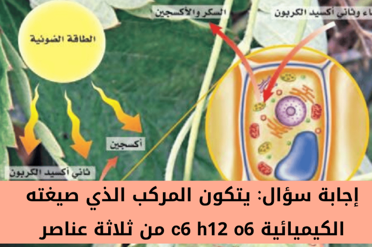 يتكون المركب الذي صيغته الكيميائية c6 h12 o6 من ثلاثة عناصر 2 يتكون المركب الذي صيغته الكيميائية c6 h12 o6 من ثلاثة عناصر