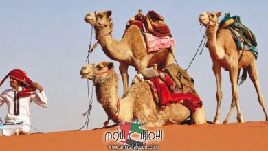 تفسير حلم رؤية البدو في المنام