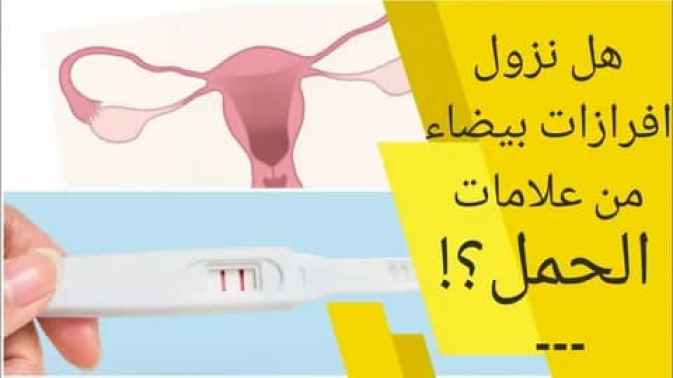 افرازات بيضاء كريمية في اليوم 19 من الدورة 1 بيضاء كريمية في اليوم 19 من الدورة