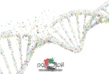 تحليل (dna fragmentation) تكسير المادة الوراثية في الحيوان المنوي