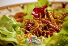 تفسير حلم رؤية دود في الأكل في المنام