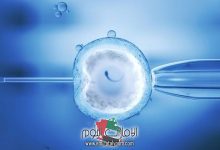 جدول نسبة هرمون الحمل بعد الحقن المجهري