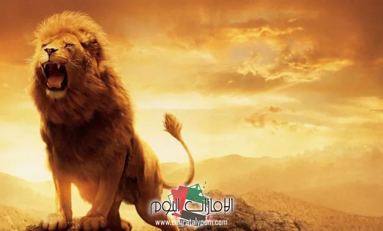 كم سعر الاسد في التيك توك