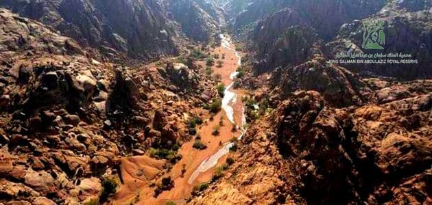 طريقة الحصول على تصريح دخول محمية الملك سلمان 1444 3 متى أنشئت محمية الملك سلمان؟