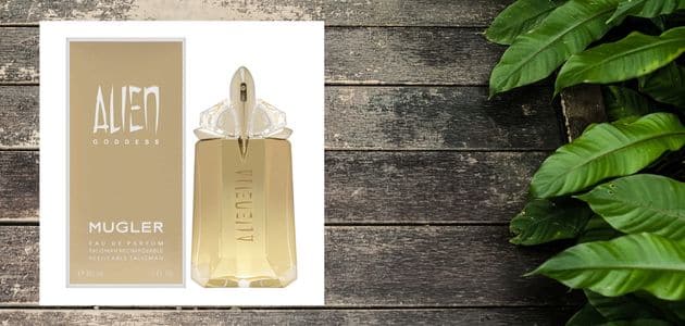 أفضل عطر نسائي جذاب