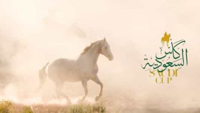 1677934627 ما هي جوائز كاس السعودية لسباق الخيل؟