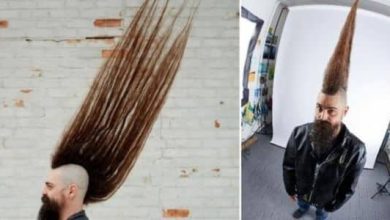 من هو اطول شعر في مصر وفي العالم 6 من هو اطول شعر في مصر وفي العالم 2