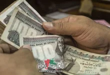 اعرف معاشك.. رابط الاستعلام عن المعاشات بالرقم القومي إلكترونيا في مصر 4 رابط الاستعلام عن المعاشات بالرقم القومي