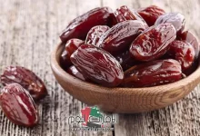هل البلح يزيد الوزن على الريق؟ وكم السعرات الحرارية به؟ 5 هل البلح يزيد الوزن على الريق